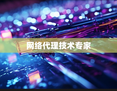 网络代理技术专家