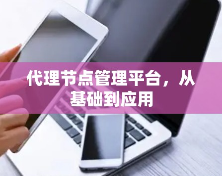 代理节点管理平台，从基础到应用