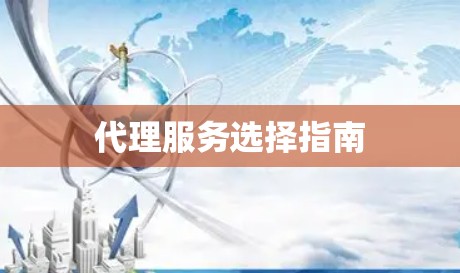 代理服务选择指南