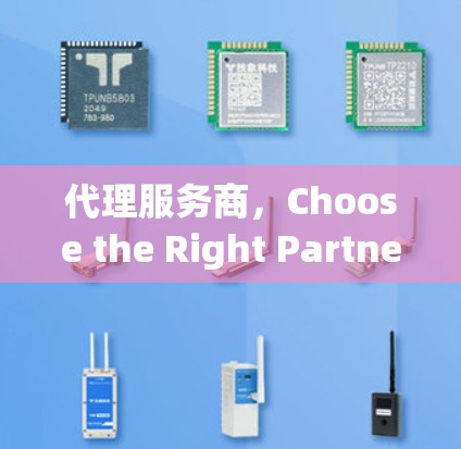 代理服务商，Choose the Right Partner for Your Success