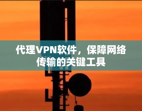 代理VPN软件，保障网络传输的关键工具