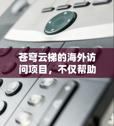 苍穹云梯的海外访问项目,不仅帮助中国企业在海外建立合作伙伴关系,还促进了文化交流和语言教育。通过这种方式,他们能够接触到更多的人和资源,进一步提升中国在全球舞台上的影响力和竞争力 苍穹云梯的海外访问项目,不仅帮助中国企业在海外建立合作伙伴关系,还促进了文化交流和语言教育。通过这种方式,他们能够接触到更多的人和资源,进一步提升中国在全球舞台上的影响力和竞争力