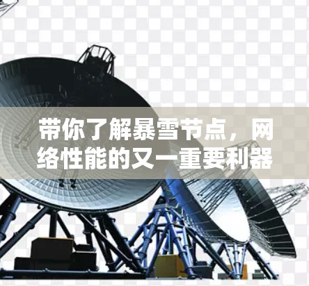 带你了解暴雪节点，网络性能的又一重要利器