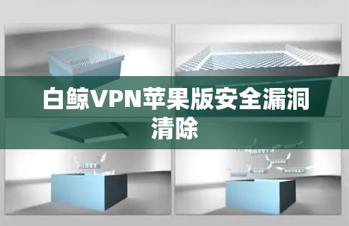 白鲸VPN苹果版安全漏洞清除