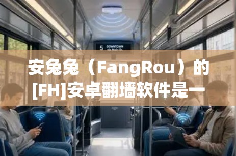安兔兔（FangRou）的[FH]安卓翻墙软件是一个用于绕过路由器流量的工具，主要针对安卓系统用户。以下是详细的使用指南和建议