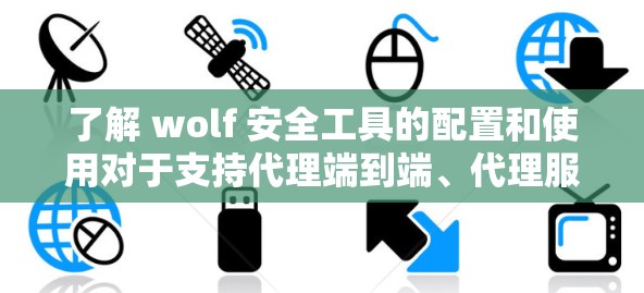 了解 wolf 安全工具的配置和使用对于支持代理端到端、代理服务器、代理网络等代理类型时,是非常重要的。以下是对 wolf 安全工具的详细指南