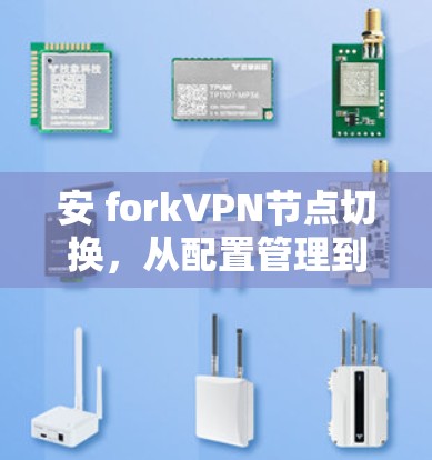 安 forkVPN节点切换，从配置管理到安全防护的全面指南