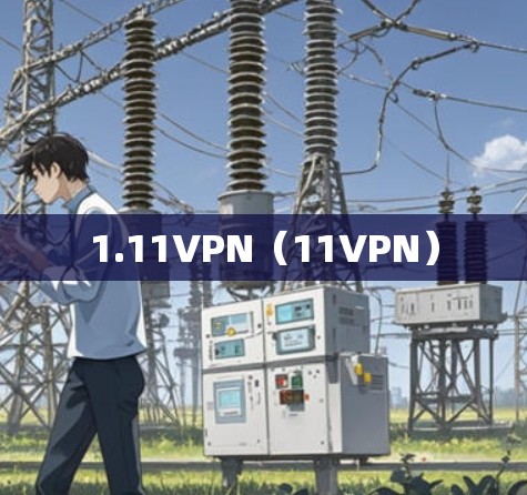 1.11VPN（11VPN）