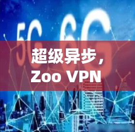 超级异步，Zoo VPN 线路测试