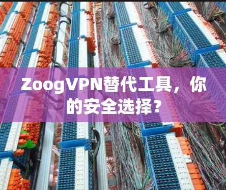 ZoogVPN替代工具，你的安全选择？