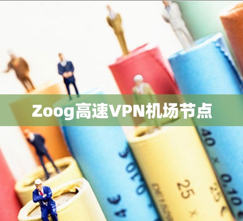 Zoog高速VPN机场节点