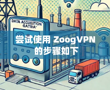 尝试使用 ZoogVPN 的步骤如下