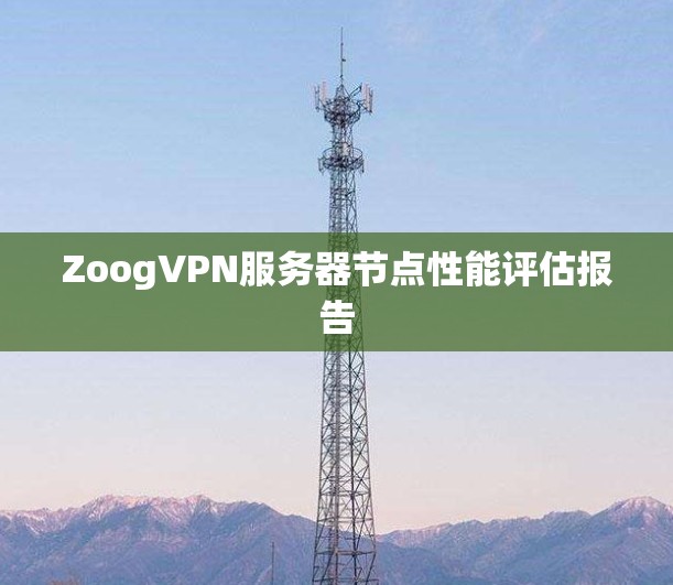 ZoogVPN服务器节点性能评估报告